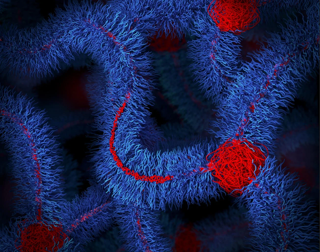 Foldable-Bottlebrush-Polymer-Networks.jpg