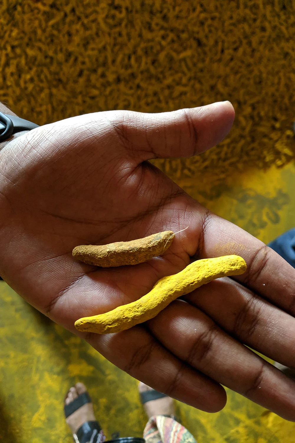 Turmeric-Roots-Polished-With-and-Without-Lead-Chromate.jpg