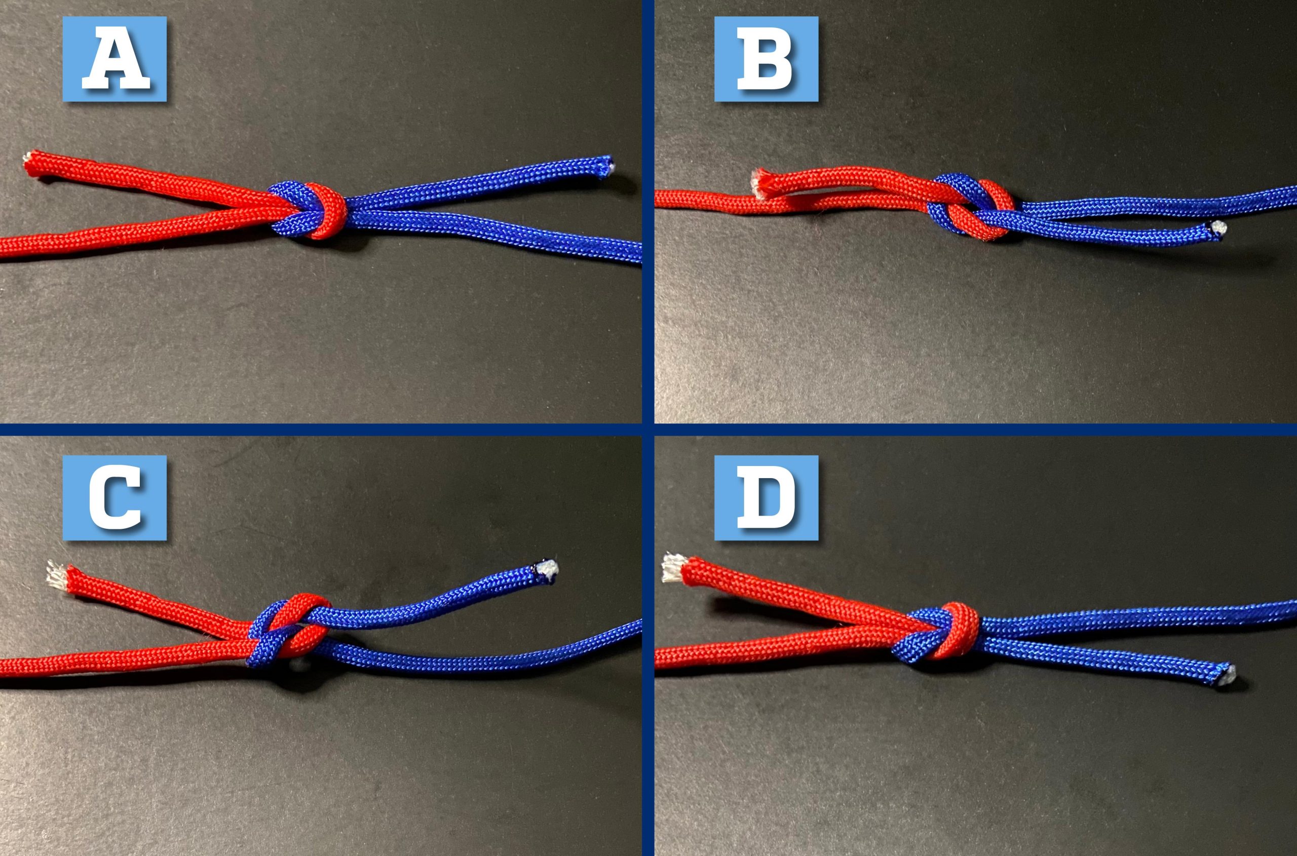 Which-Knot-is-Strongest-Graphic-scaled.jpg