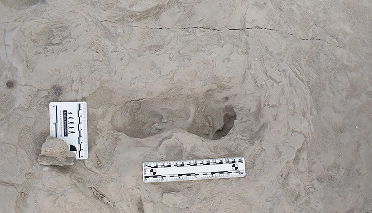 Homo-erectus-Footprint.jpg