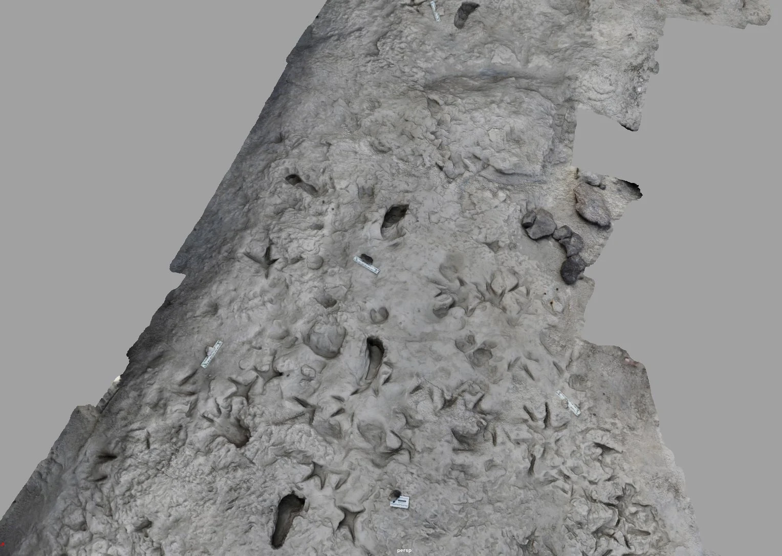 3D-Model-of-Surface-Area-With-Paranthropus-boisei-and-Homo-erectus-Footprints.jpg