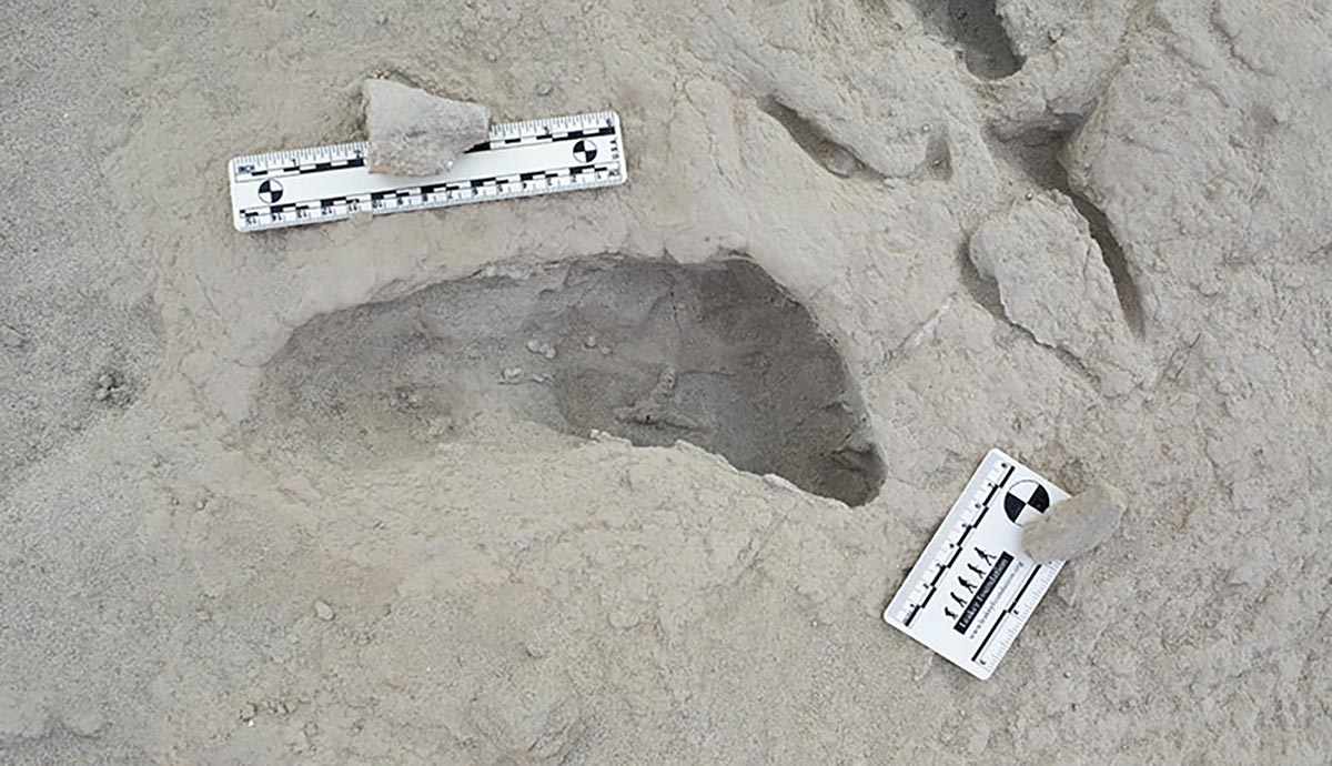 Paranthropus-boisei-Footprint.jpg