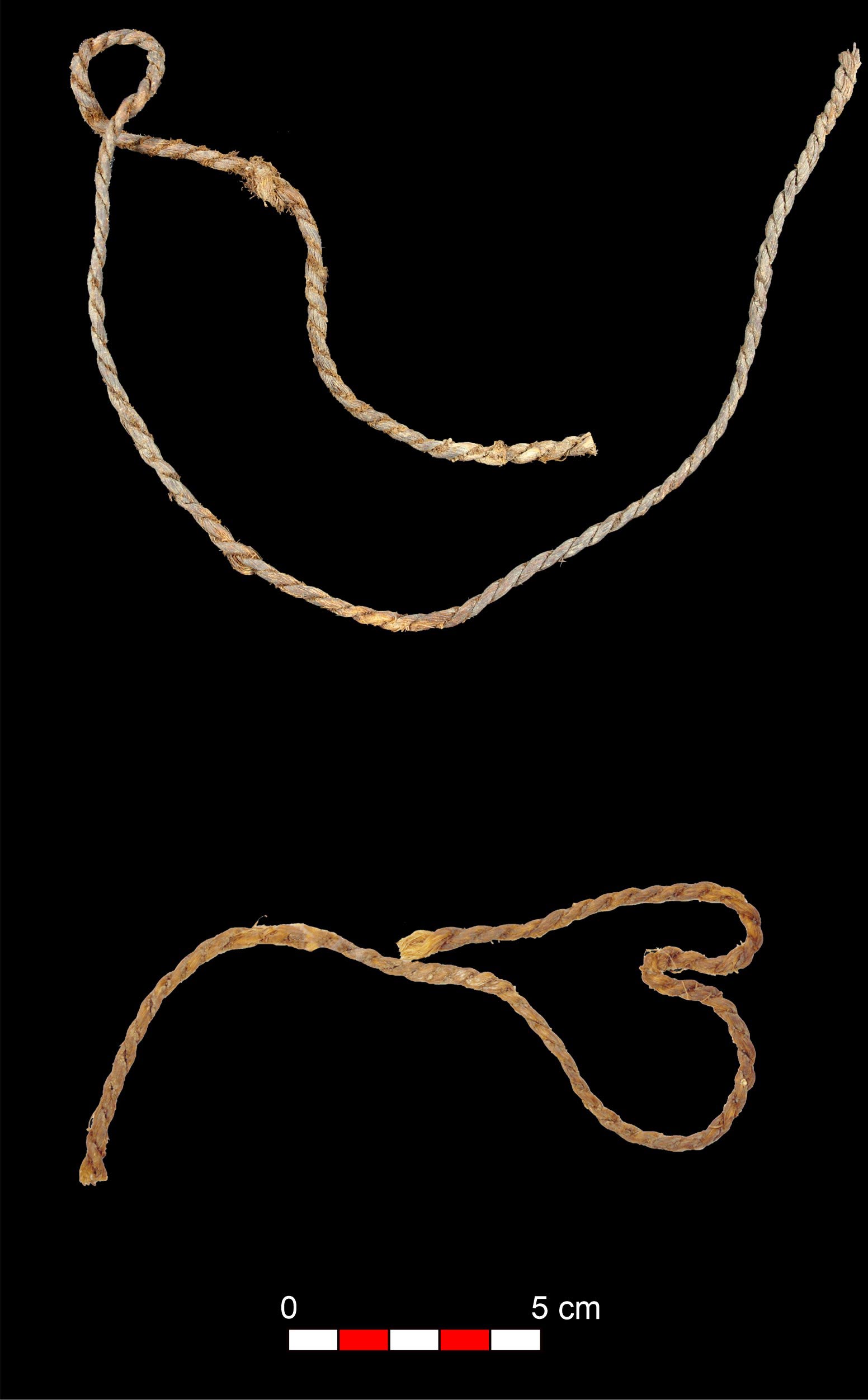 Fragments-of-Sinew-Bowstrings-From-the-Cave-of-Los-Murcielagos.jpg