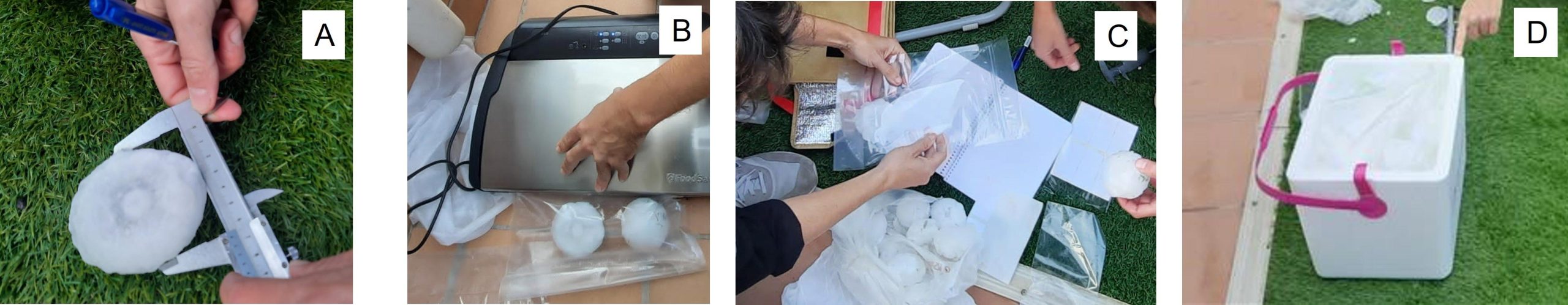 Researchers-Collecting-Hailstones-scaled.jpg