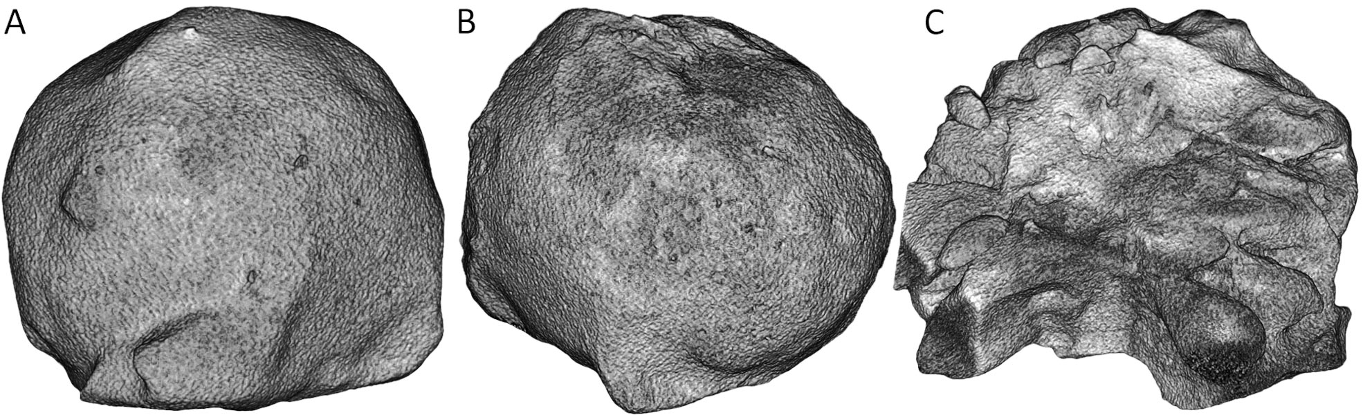 3D-Images-of-Hailstones.jpg