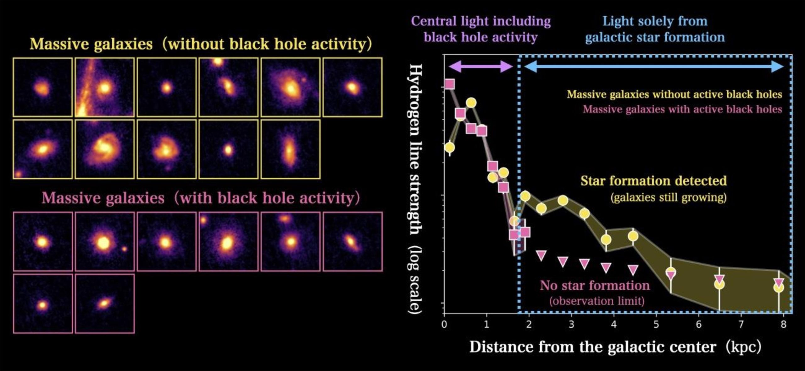 Star-Formation-SMBH-scaled.jpg