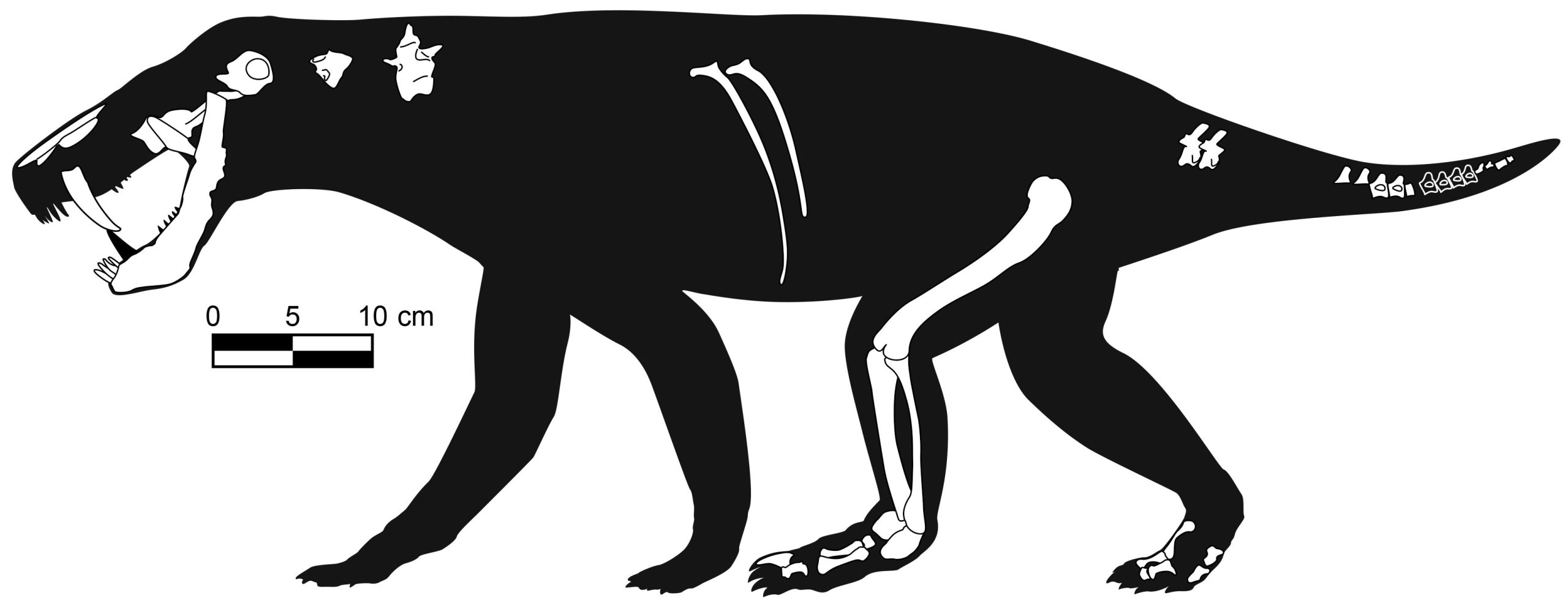 Gorgonopsian-Silhouette-scaled.jpg