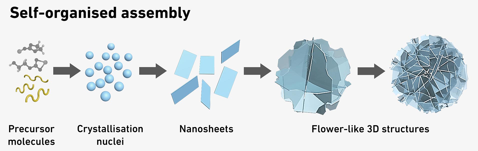 Self-Organised-Assembly-of-Flower-Like-Particles.jpg