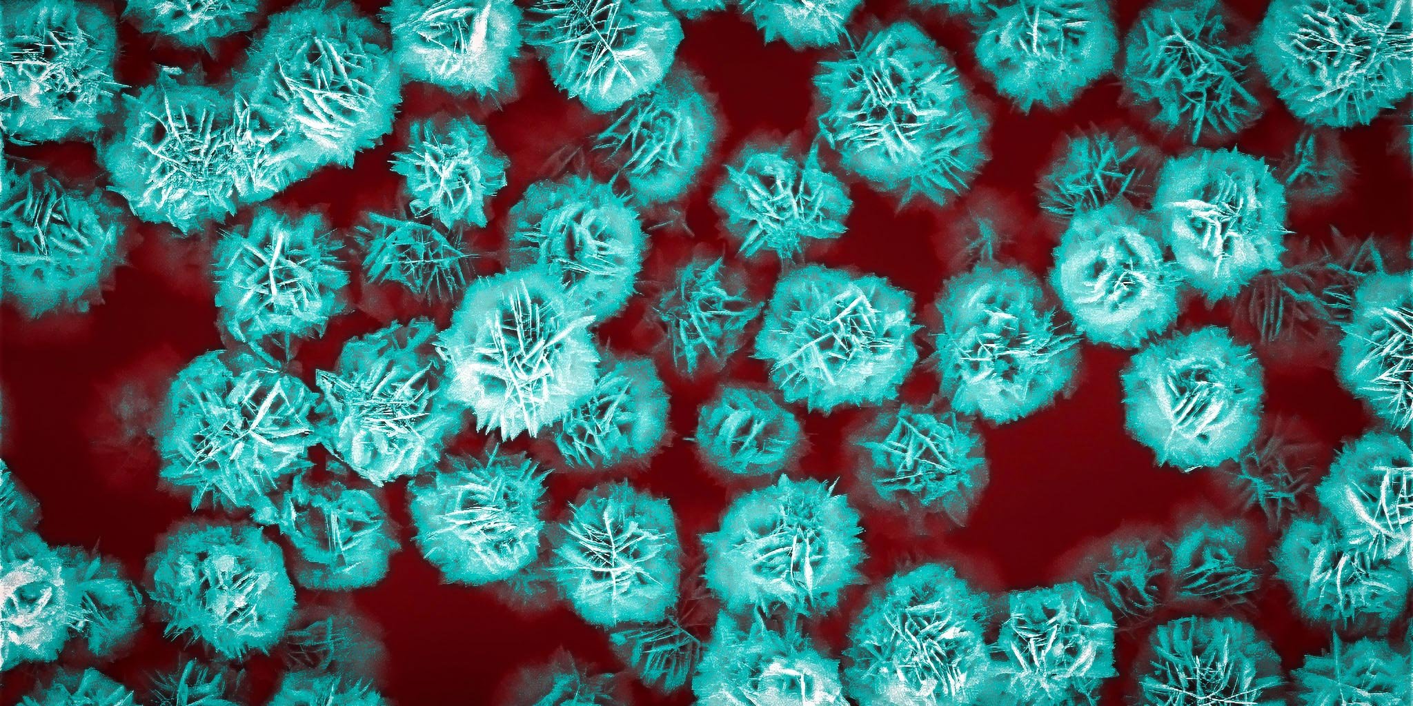 Flower-Like-Zinc-Oxide-Particles.jpg