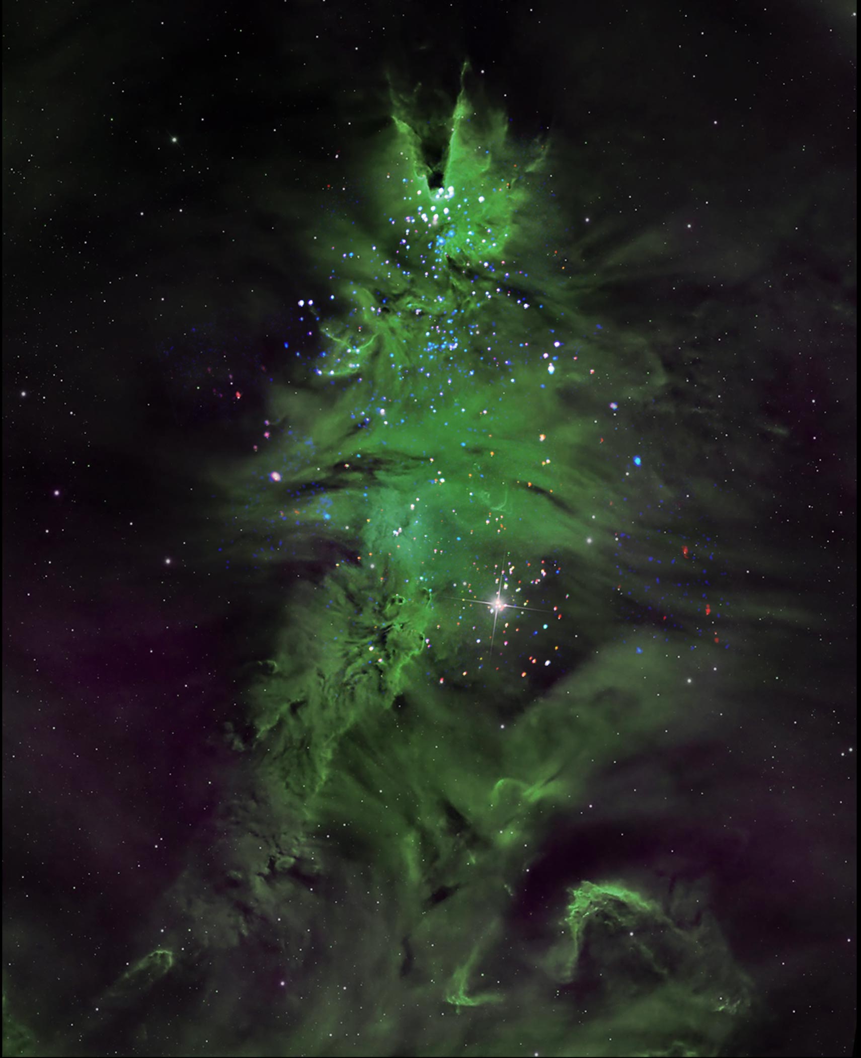 Christmas-Tree-Cluster-2024.jpg