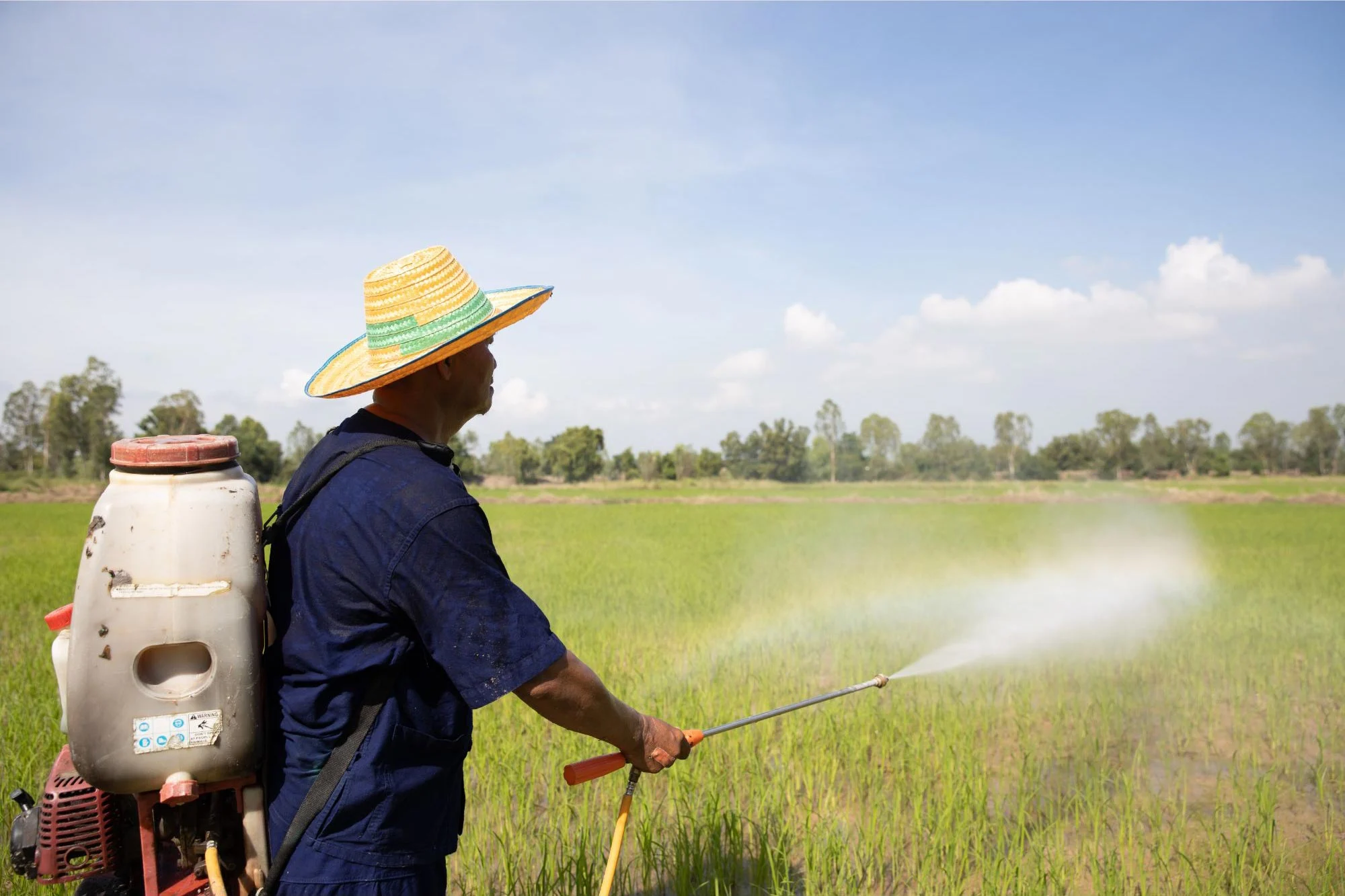 Spraying-Fertilizer.jpg