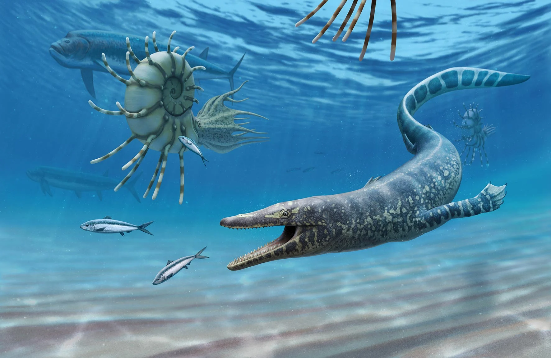 Sarabosaurus-dahli-Life-Reconstruction.jpg