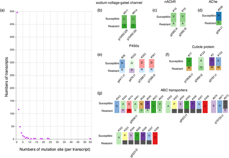 Transcripts-With-Mutations-in-the-Resistant-Bed-Bugs.jpg