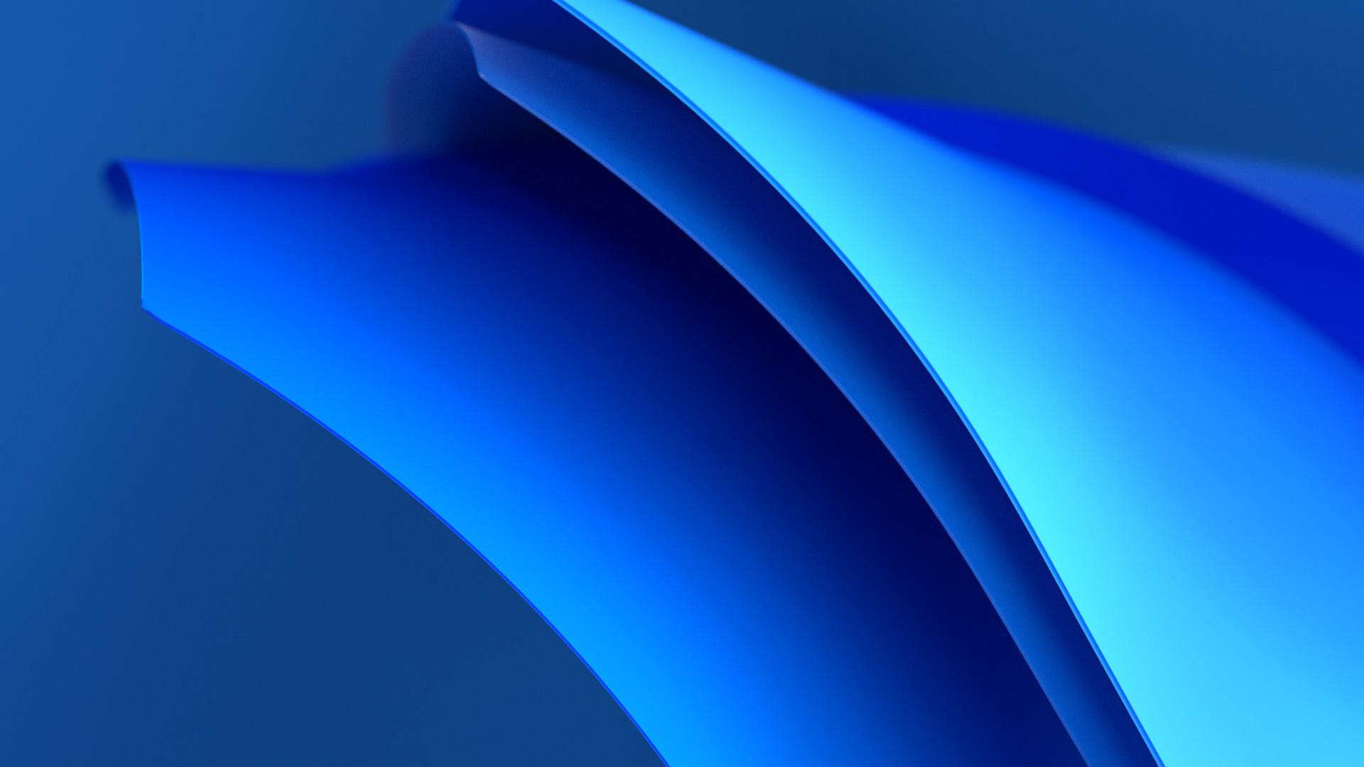 1735834369_195dbb212089881.672eaccfc326c.jpg