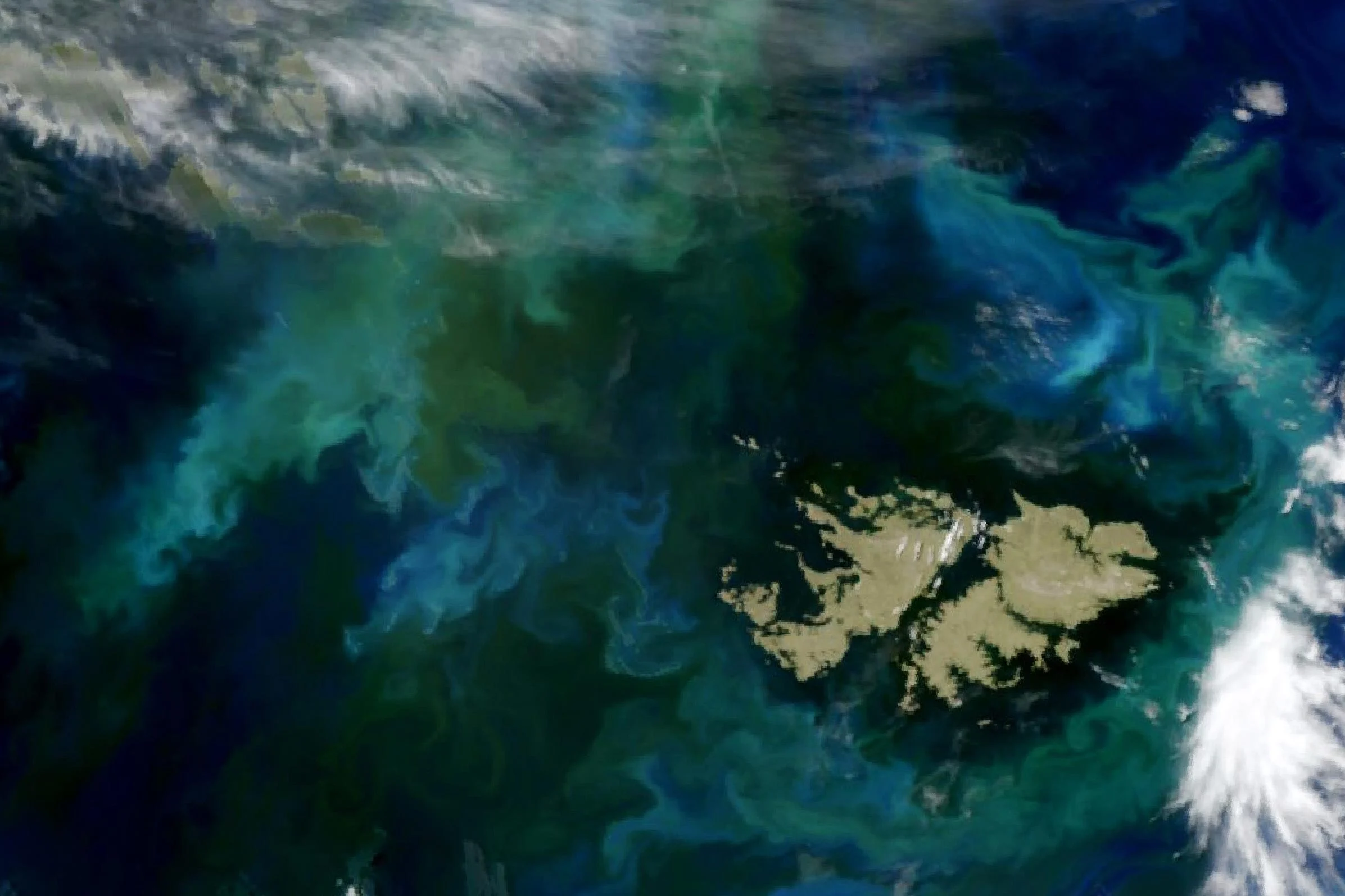 Phytoplankton-Bloom-Patagonian-Shelf-2024.jpg