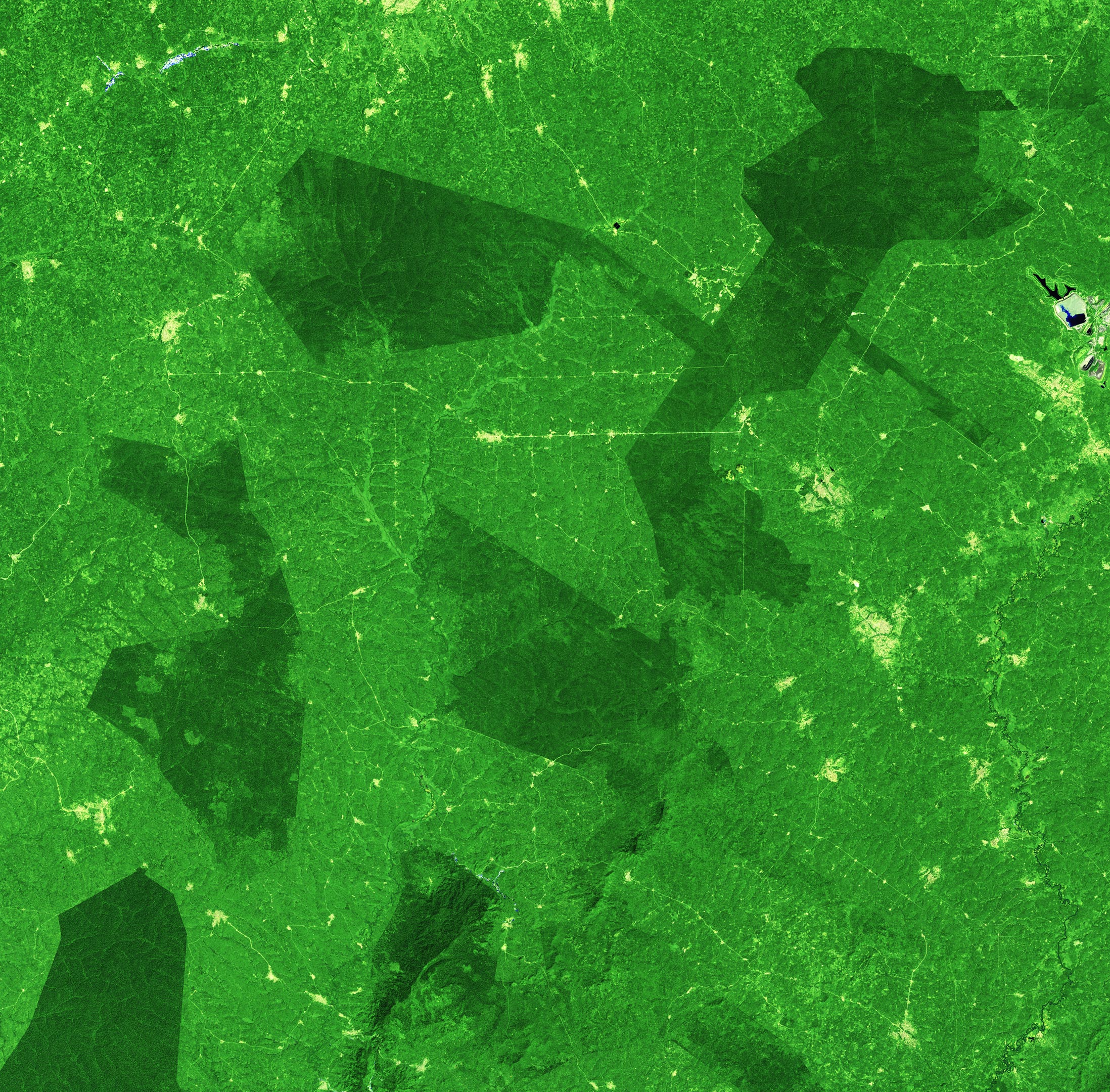 Ghana-Forest-2023.jpg