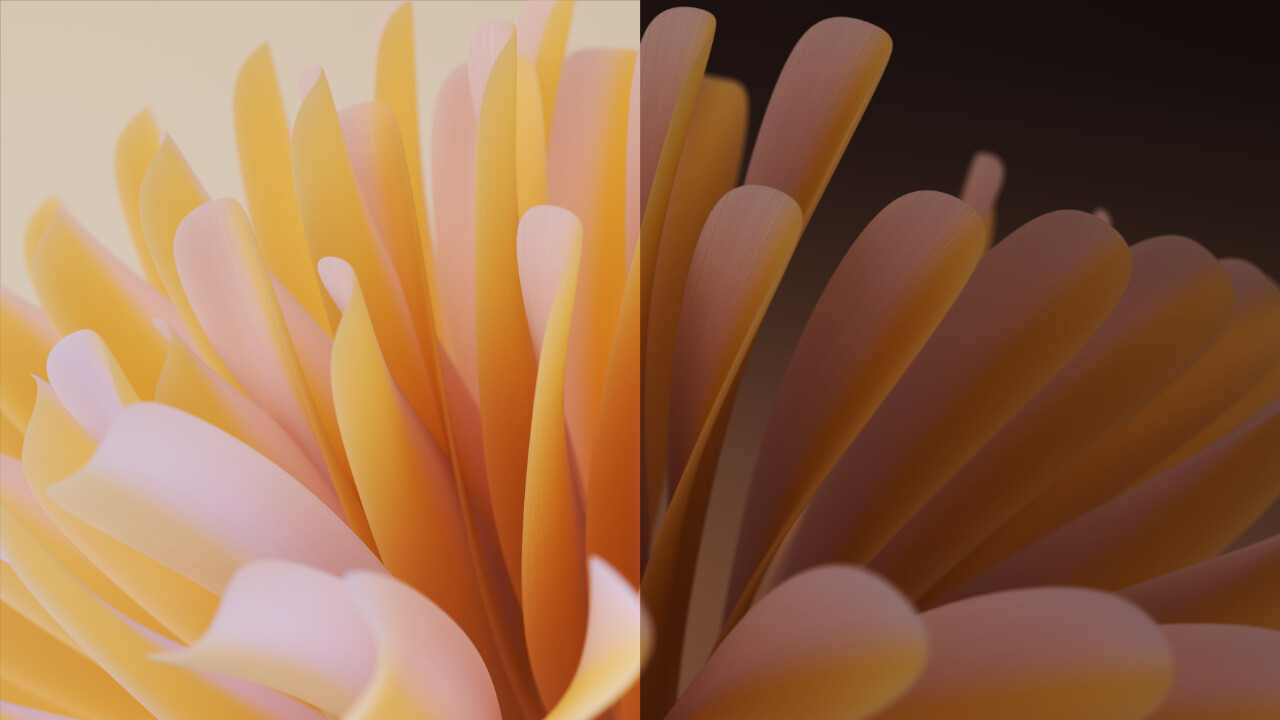 1736452226_petal_wallpaper.jpg