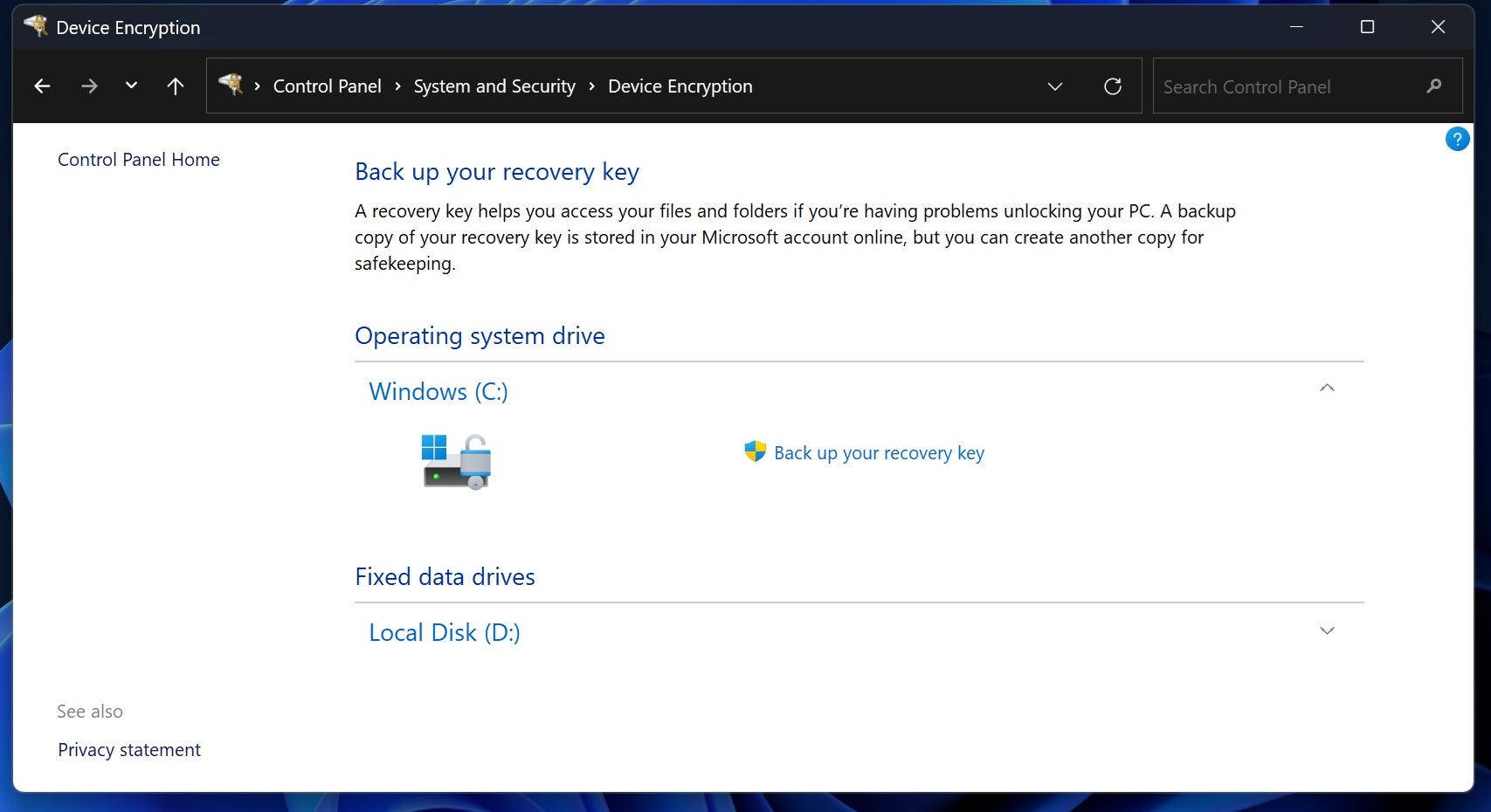 BitLocker-in-Windows-11.jpg