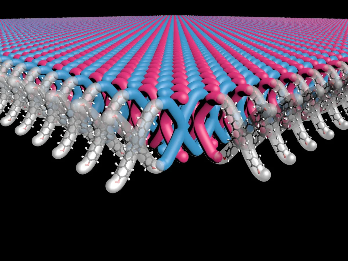 Mechanically-Interlocked-Two-Dimensional-Polymers.jpg