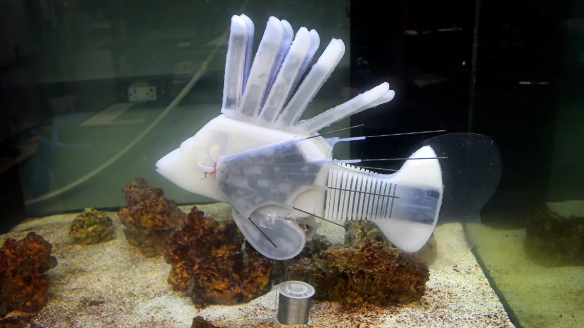 0619_robot_fish.webp