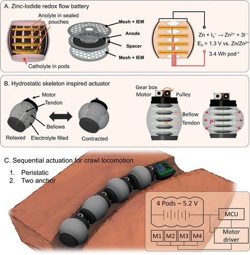 adma202414872-fig-0001-m.webp