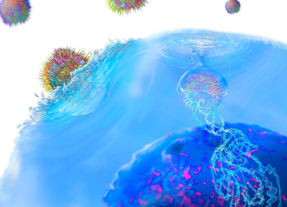 in-article-stem-like-t-cells.jpg