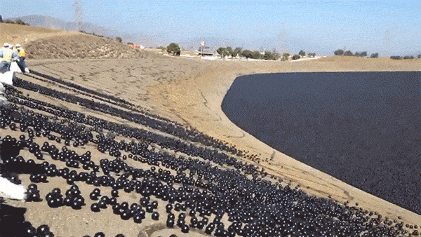 6d4841d6d6724b4a946389a14b4dbb62.gif