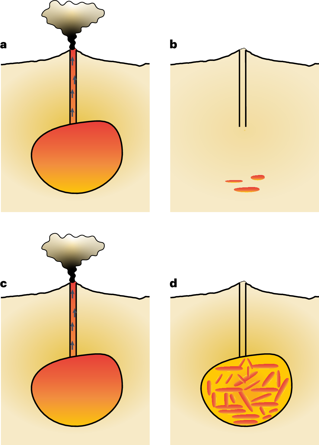 41561_2024_1630_Fig4_HTML.png