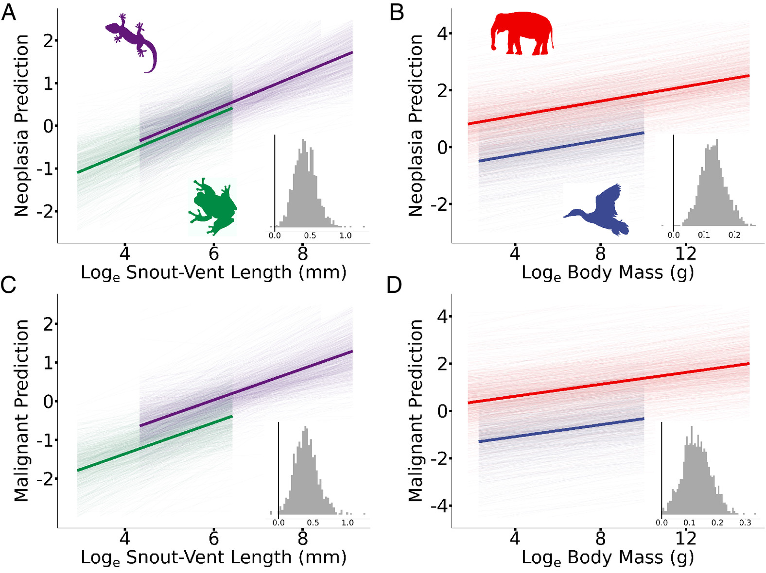 pnas.2422861122fig01.jpg
