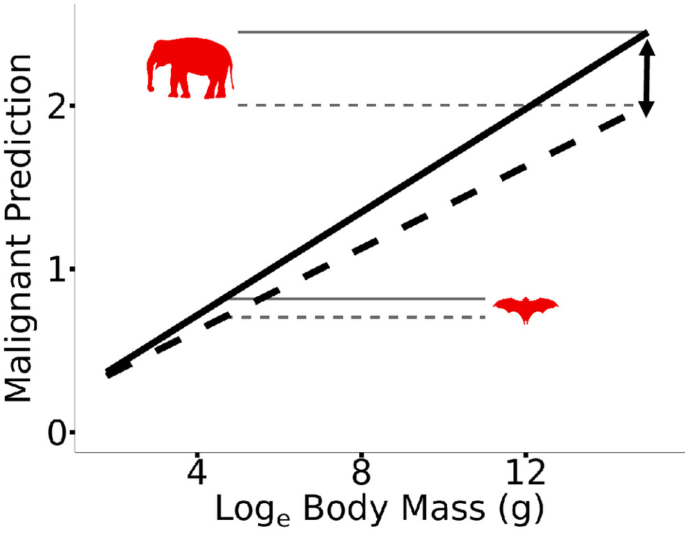 pnas.2422861122fig03.jpg