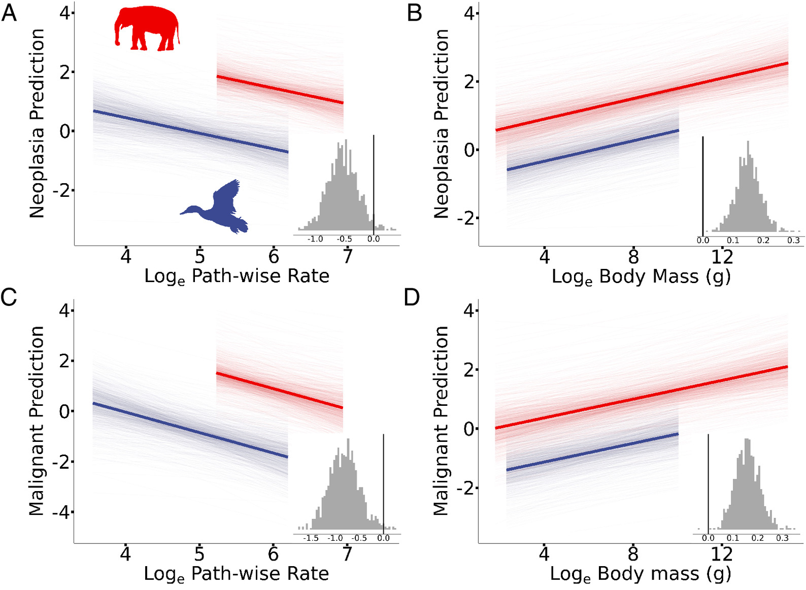 pnas.2422861122fig02.jpg