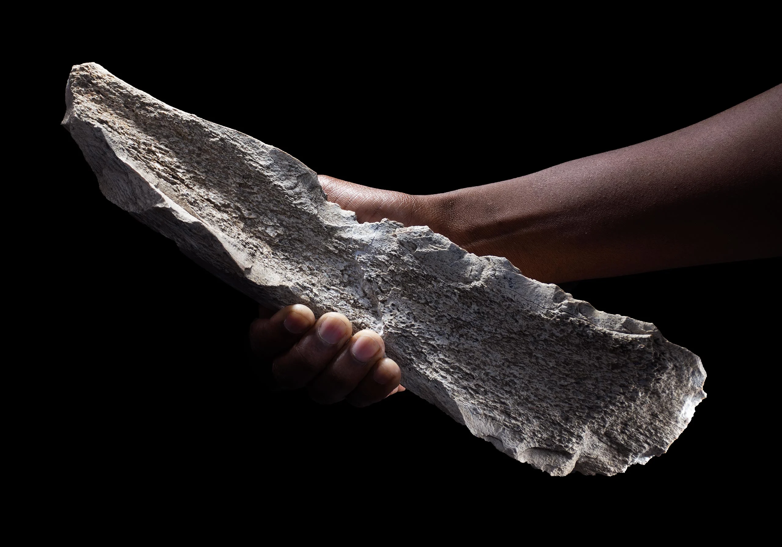 Bone-Tool-Shaped-on-a-1.5-Million-Year-Old-Elephant-Humerus.jpg