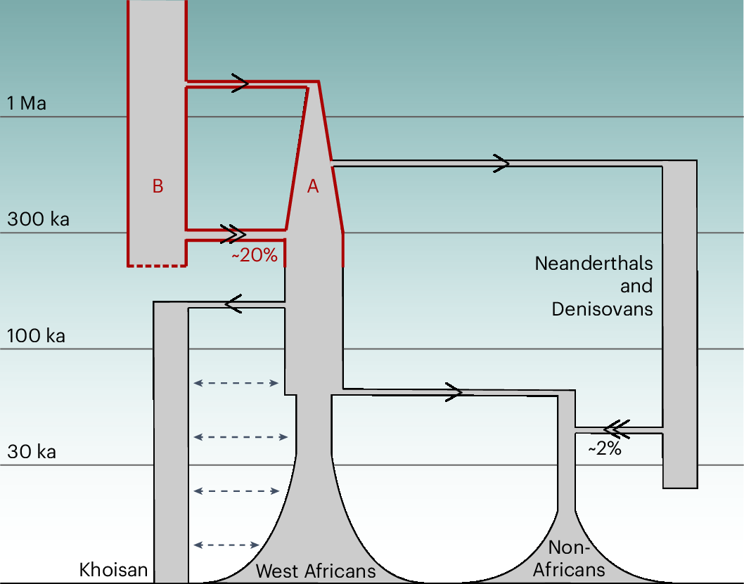 41588_2025_2117_Fig6_HTML.png
