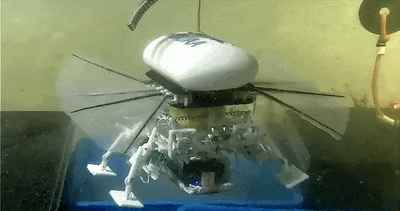 0c4c5b3b865c41eda52dcb67c9e0aef5.gif