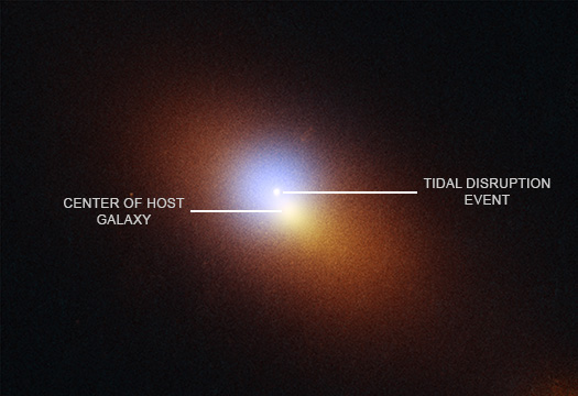 bhtde_labeled_525.jpg
