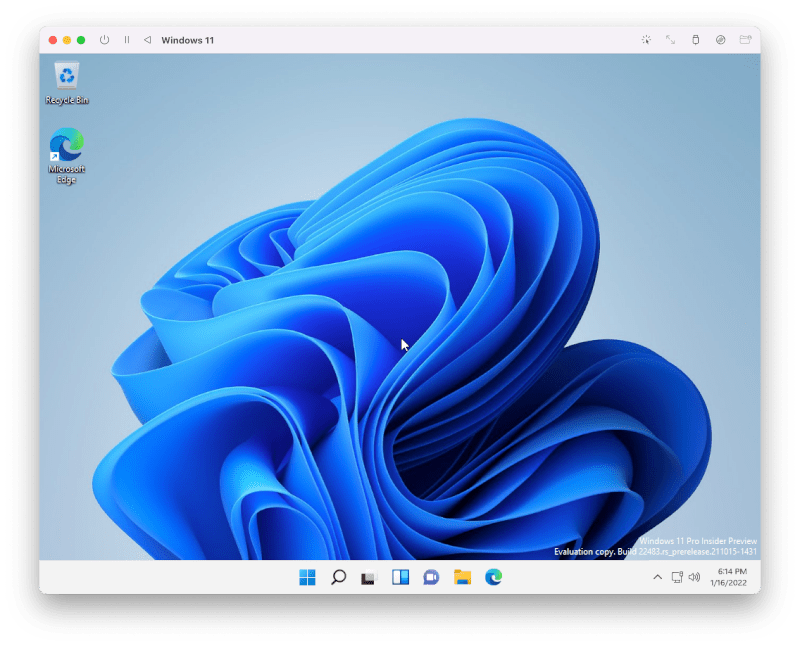 windows.png