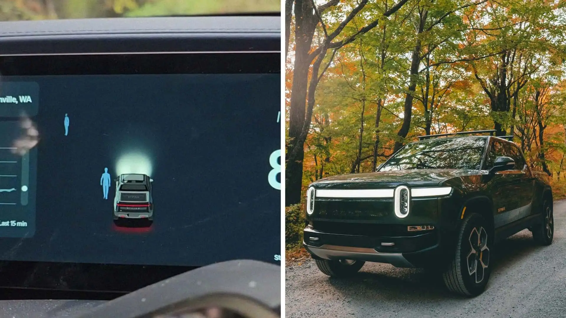 man-drives-through-the-woods.webp