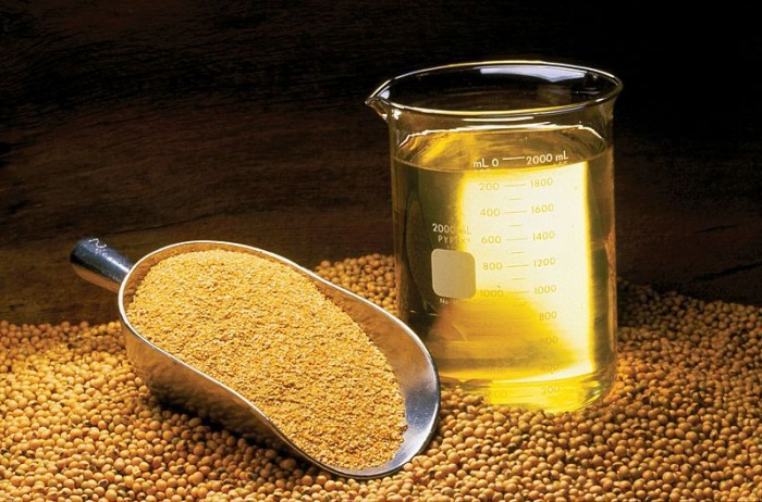 Soybean_Oil,_Meal_and_Beans_(10059732523).jpg