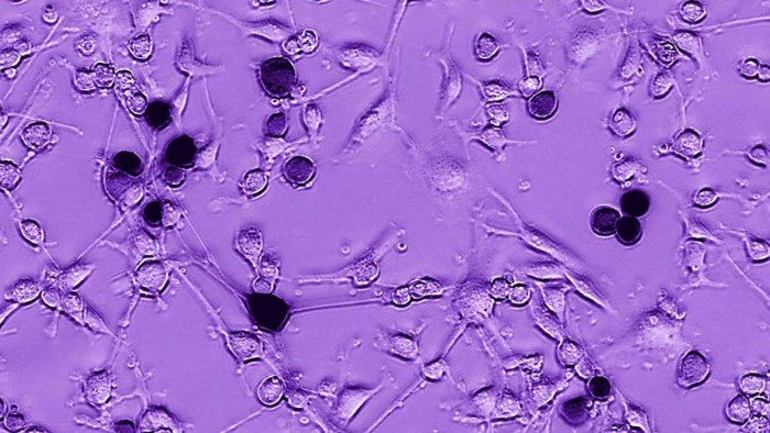 ebola-tumors-1280x720.jpg