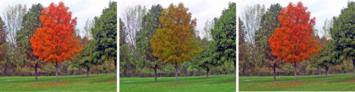 Screenshot_2020-03-05 These high-tech contacts may help correct color blindness.png