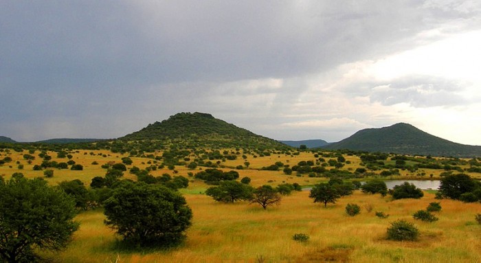 800px-Upland_South_Africa_Savanna.jpg