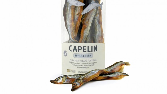Capelin_main-1280x720.jpg