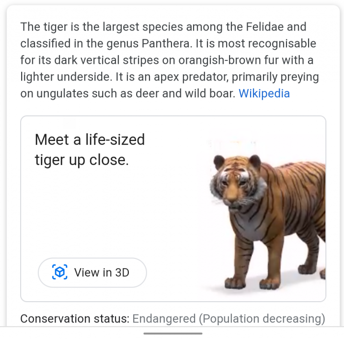 google_ar_animals_3d_tiger_1-e1585426281527.png