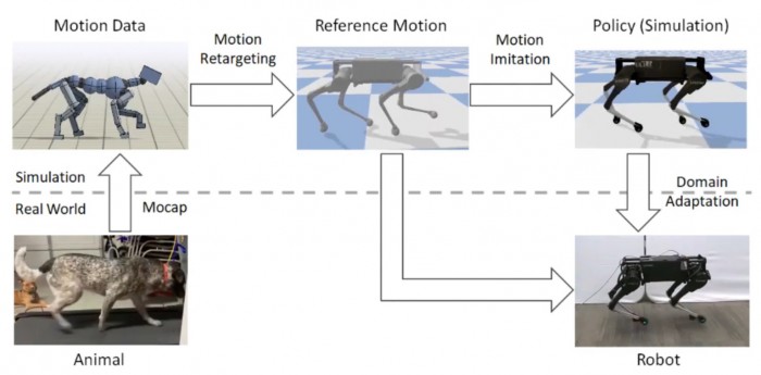 dog-gait-bot.jpg