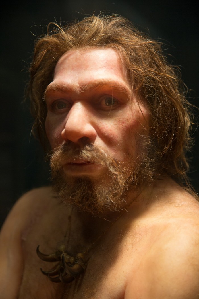 neanderthal-1542198566QV9.jpg