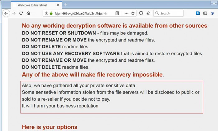 doppelpaymer-ransomware-threatens-to-dump-victims-data-showcase_image-8-a-13683.jpg