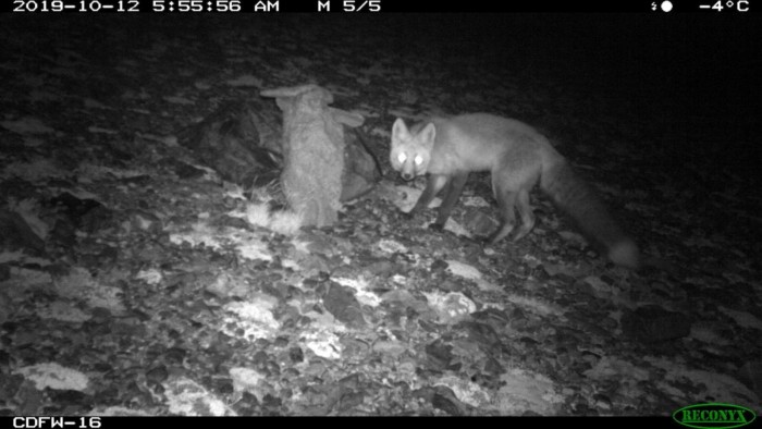 Screenshot_2020-04-21 eutpqxcuyaeyxjb jpeg（WEBP 图像，1200x675 像素） - 缩放 (94%).jpg