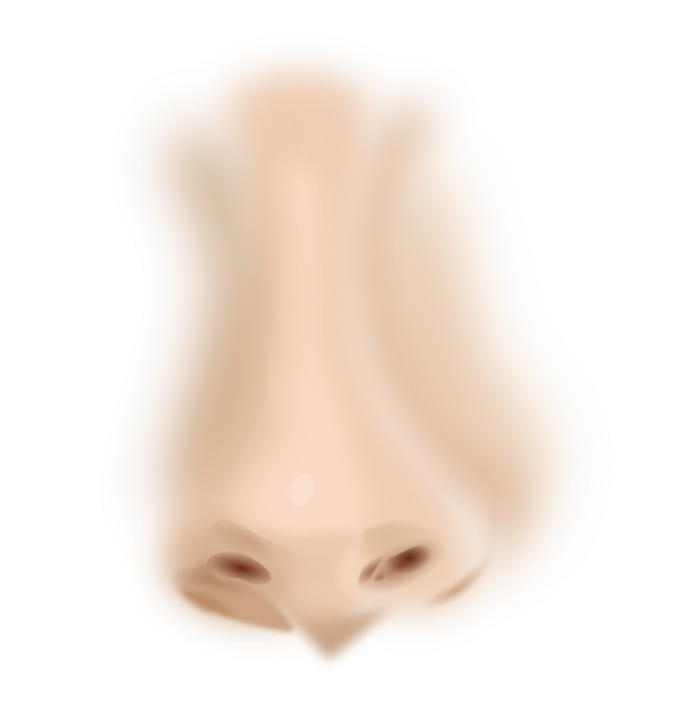 nose-3678143_1280.png