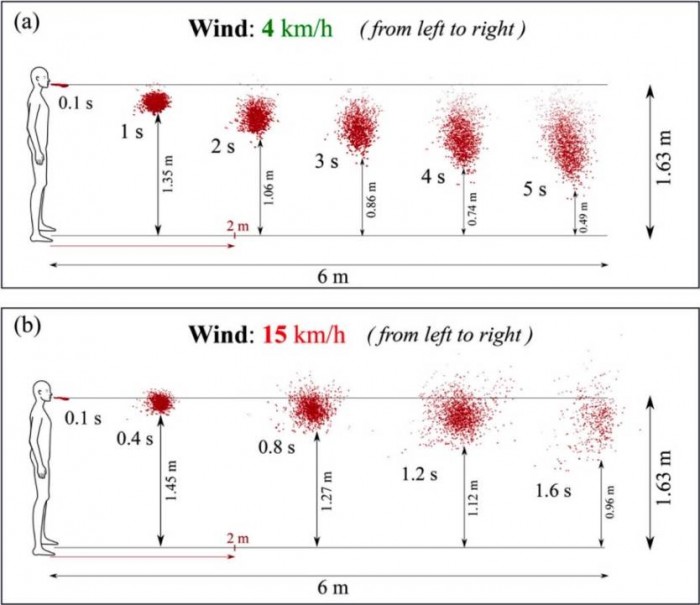 coronavirus-covid-19-saliva-droplets-in-windy-air.jpg