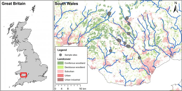 Screenshot_2020-05-25 Food web transfer of plastics to an apex riverine predator(1).jpg
